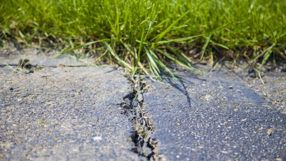 Sidewalk crack and grass